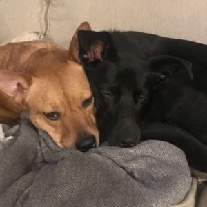 Meet your Posher, Jen